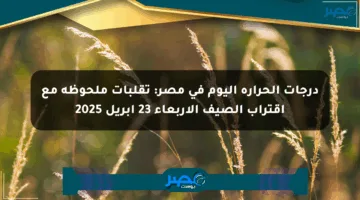 درجات الحرارة اليوم في مصر: تقلبات ملحوظة مع اقتراب الصيف الأربعاء 23 إبريل 2025